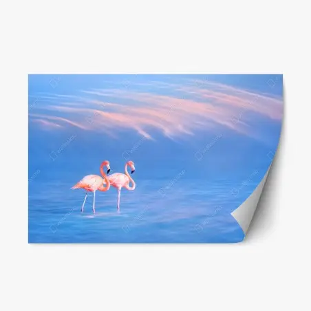 Sticker repositionnable duo de flamants roses au crépuscule – Wallnifity®