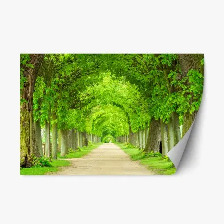 Sticker repositionnable allée verdoyante en perspective – Wallnifity®