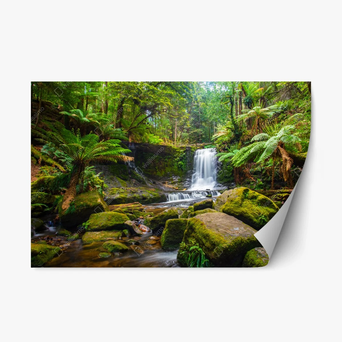 Sticker repositionnable cascade tranquille au cœur d'une forêt verdoyante – Wallnifity® Sticker repositionnable cascade tranquille au cœur d'une forêt verdoyante – Wallnifity®