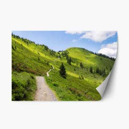 Sticker repositionnable sentier de montagne verdoyant au soleil – Wallnifity®
