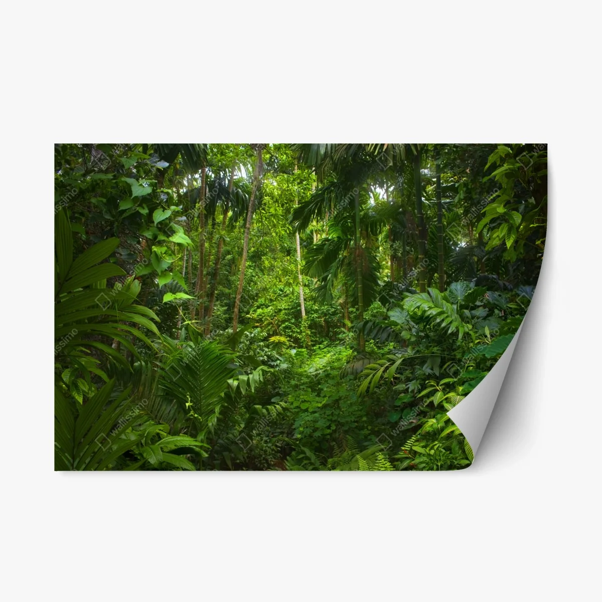 Sticker repositionnable oasis de verdure tropicale – Wallnifity® Sticker repositionnable oasis de verdure tropicale – Wallnifity®