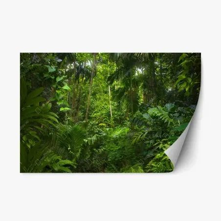 Sticker repositionnable oasis de verdure tropicale – Wallnifity®