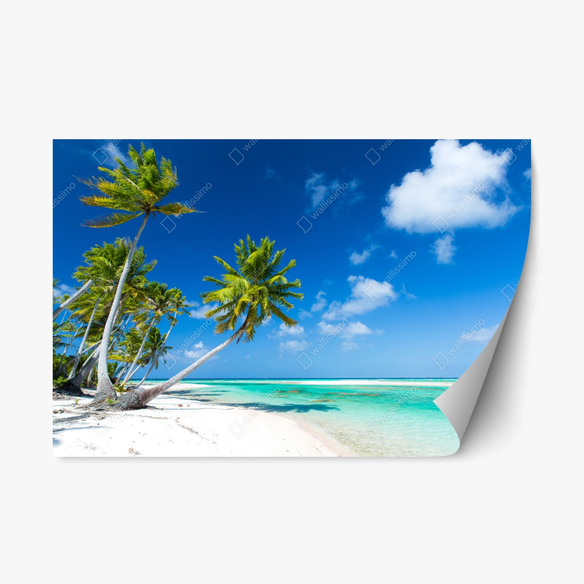 Sticker repositionnable rêve de plage tropicale aux palmiers – Wallnifity®