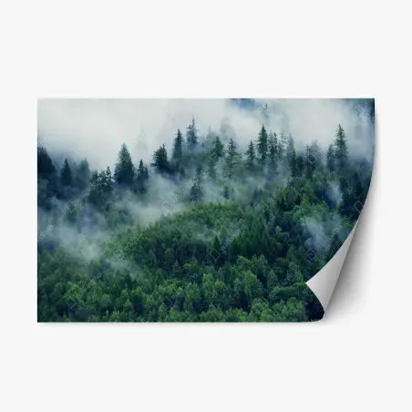 Sticker repositionnable forêt embrumée aux nuances de vert – Wallnifity®