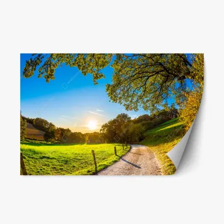 Sticker repositionnable chemin ensoleillé au coucher du soleil – Wallnifity®