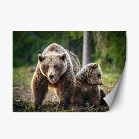 Sticker repositionnable ourse et ourson dans la forêt – Wallnifity®