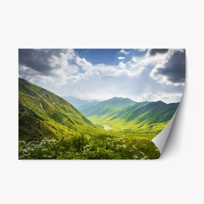 Nature – Wallnifity®