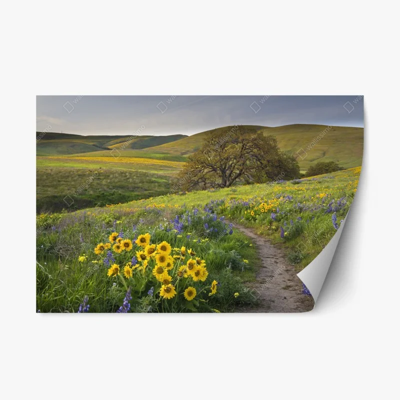 Nature – Wallnifity®