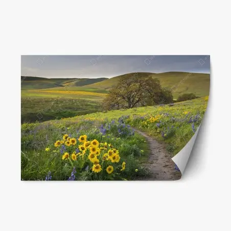 Sticker repositionnable sentier fleuri sous les collines dorées – Wallnifity®