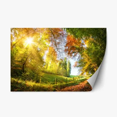 Sticker repositionnable promenade en forêt aux couleurs d'automne – Wallnifity®