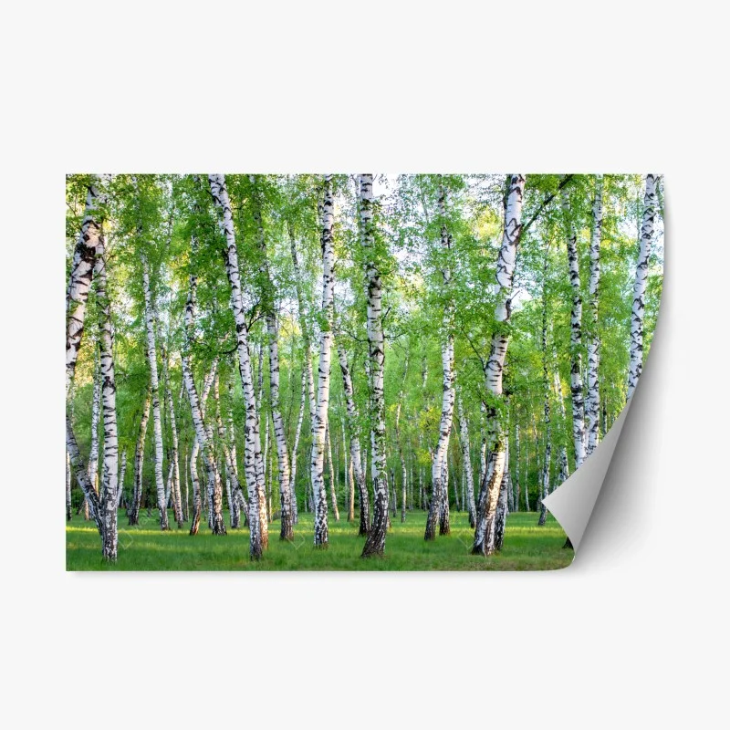 Nature – Wallnifity®