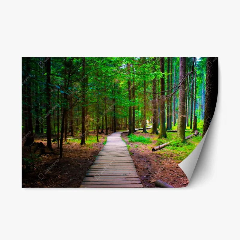 Nature – Wallnifity®