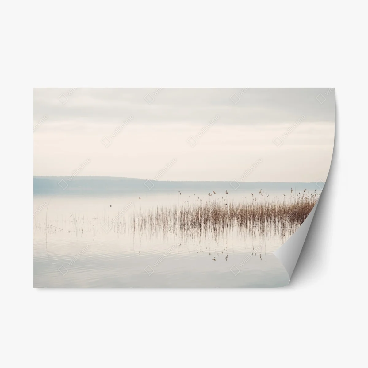 Sticker repositionnable brume sur le lac et roseaux – Wallnifity® Sticker repositionnable brume sur le lac et roseaux – Wallnifity®