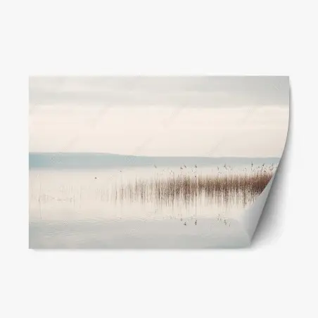 Sticker repositionnable brume sur le lac et roseaux – Wallnifity®