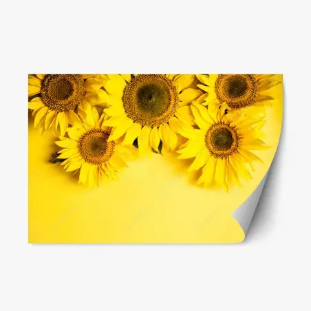 Sticker repositionnable bouquet de tournesols sur fond jaune – Wallnifity®