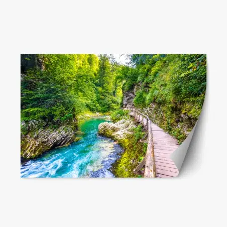 Sticker repositionnable sentier boisé le long d'une rivière émeraude – Wallnifity®