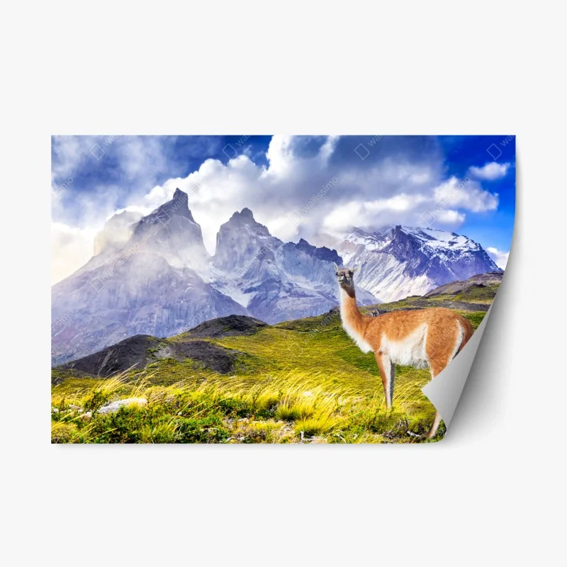 Montagnes – Wallnifity®