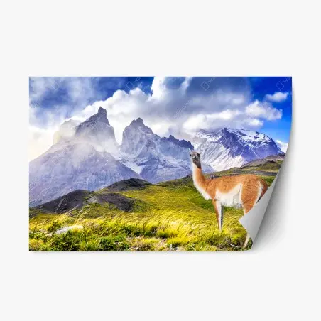 Sticker repositionnable paysage sauvage de Torres del Paine – Wallnifity®