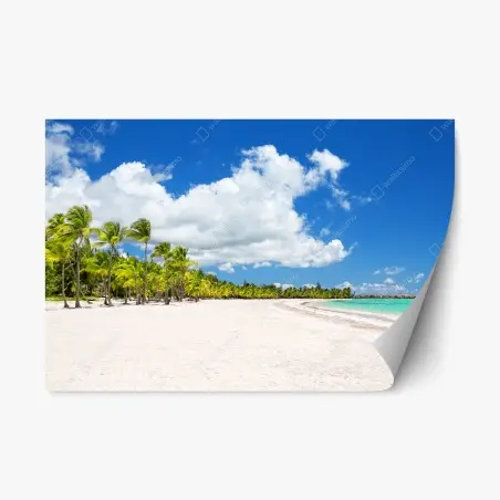 Sticker repositionnable paradis de palmiers à Punta Cana – Wallnifity®