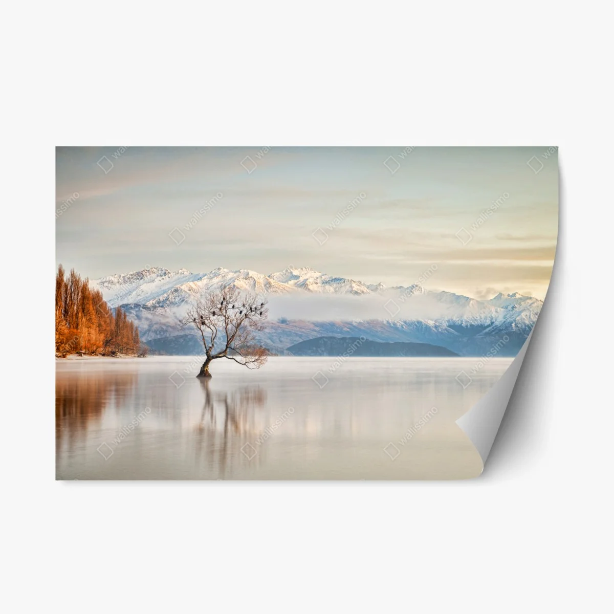 Sticker repositionnable arbre solitaire sur le lac Wanaka en hiver – Wallnifity® Sticker repositionnable arbre solitaire sur le lac Wanaka en hiver – Wallnifity®