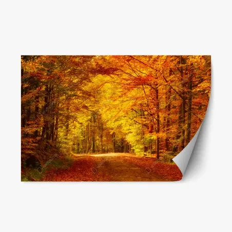Sticker repositionnable allée d'automne dorée – Wallnifity®