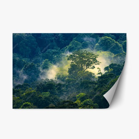 Sticker repositionnable canopée tropicale embrumée baignée de lumière – Wallnifity®