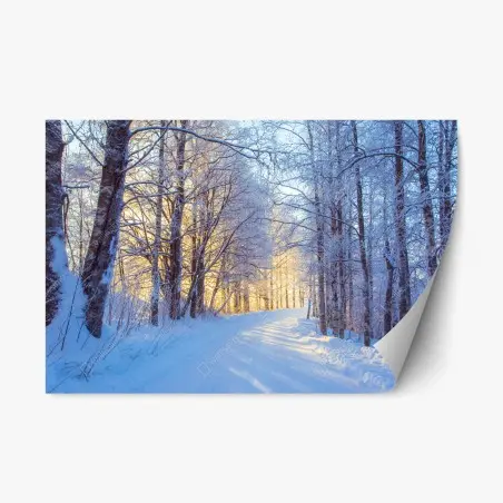 Sticker repositionnable promenade hivernale au soleil doré – Wallnifity®