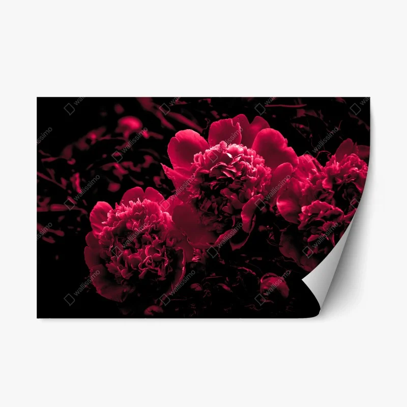 Fleurs et plantes – Wallnifity®