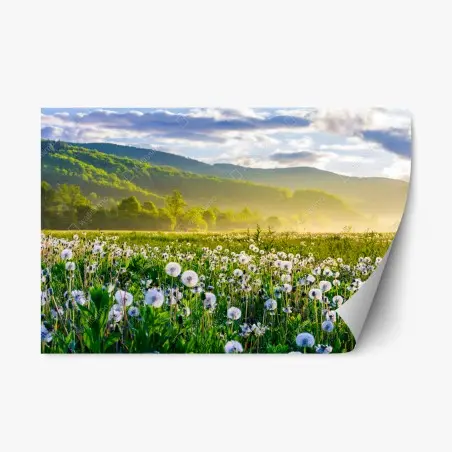 Sticker repositionnable pissenlits et brume matinale en montagne – Wallnifity®