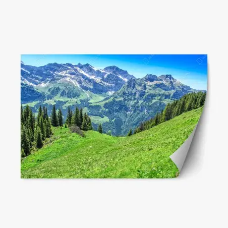 Sticker repositionnable panorama estival des Alpes Suisses à Engelberg – Wallnifity®