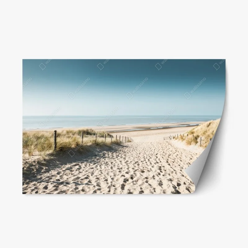 Nature – Wallnifity®