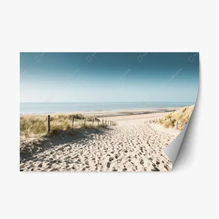 Sticker repositionnable chemin de sable vers la mer à Noordwijk – Wallnifity®