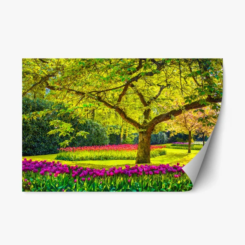 Fleurs et plantes – Wallnifity®