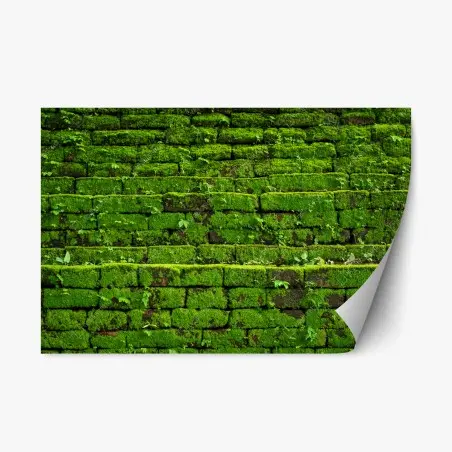 Sticker repositionnable mousse verte sur briques anciennes – Wallnifity®