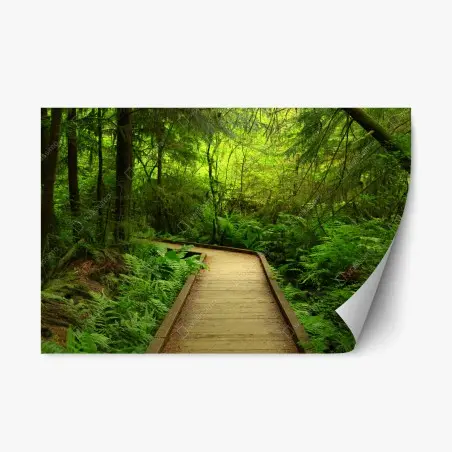 Sticker repositionnable sentier boisé baigné de verdure – Wallnifity®