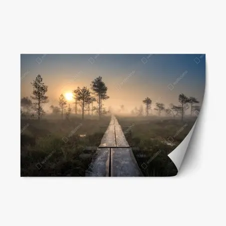 Sticker repositionnable sentier en bois dans la brume au lever du soleil – Wallnifity®