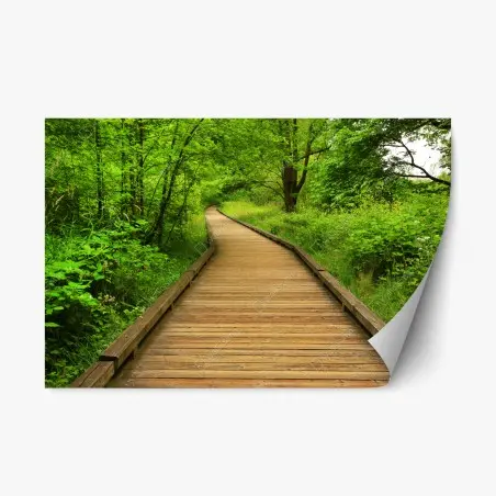 Sticker repositionnable sentier en bois verdoyant – Wallnifity®