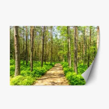 Sticker repositionnable chemin en forêt verdoyante – Wallnifity®
