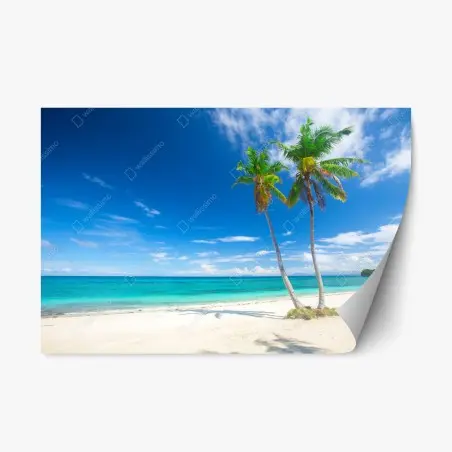 Sticker repositionnable plage tropicale aux palmiers – Wallnifity®