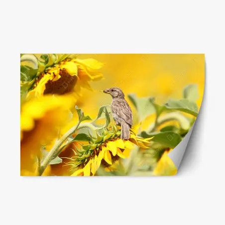 Sticker repositionnable moineau sur tournesol lumineux – Wallnifity®