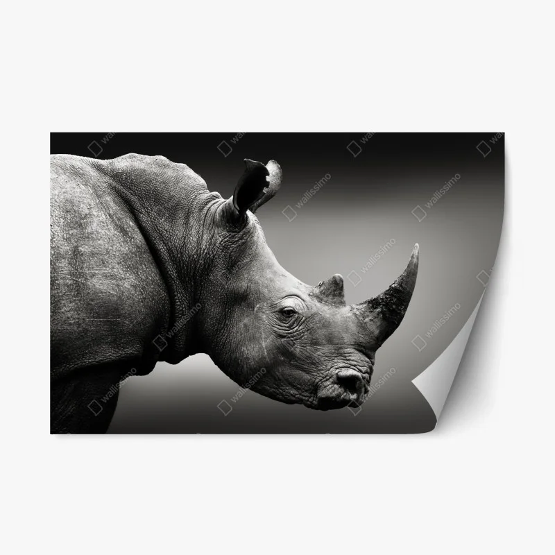 Animaux sauvages – Wallnifity®
