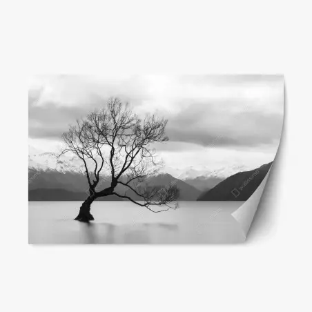 Sticker repositionnable arbre solitaire sur lac brumeux – Wallnifity®