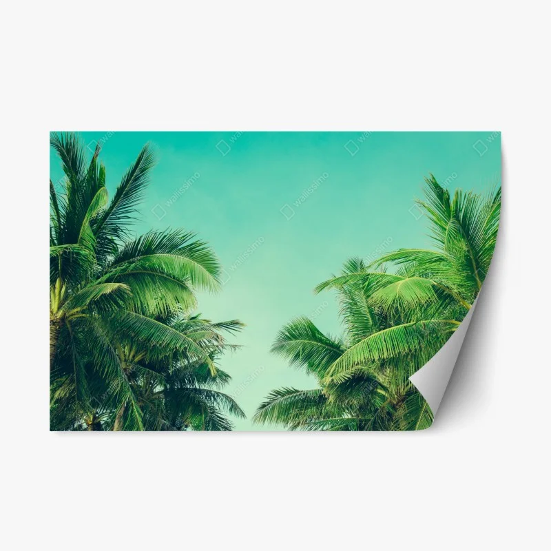 Stickers repositionnables – Wallnifity®