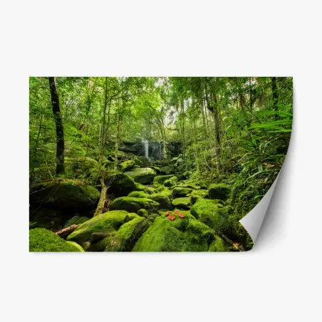 Sticker repositionnable cascade et mousse verte dans la forêt tropicale – Wallnifity®