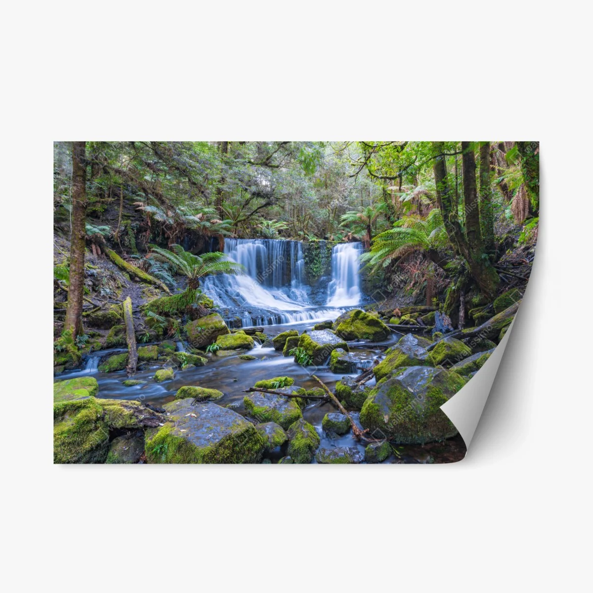 Sticker repositionnable cascade sereine au cœur de la forêt – Wallnifity® Sticker repositionnable cascade sereine au cœur de la forêt – Wallnifity®