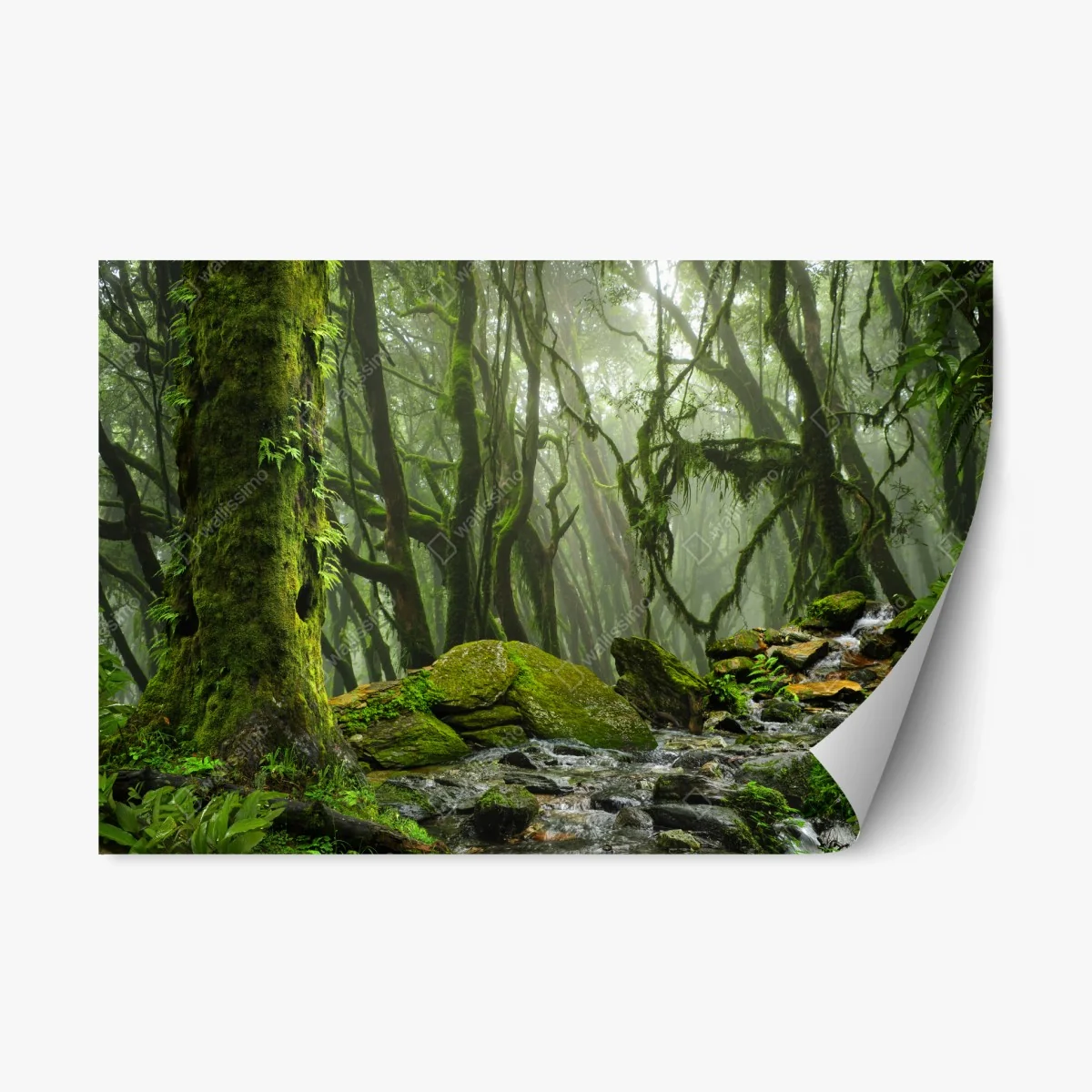 Sticker repositionnable ruisseau dans la forêt embrumée – Wallnifity® Sticker repositionnable ruisseau dans la forêt embrumée – Wallnifity®