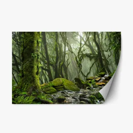 Sticker repositionnable ruisseau dans la forêt embrumée – Wallnifity®