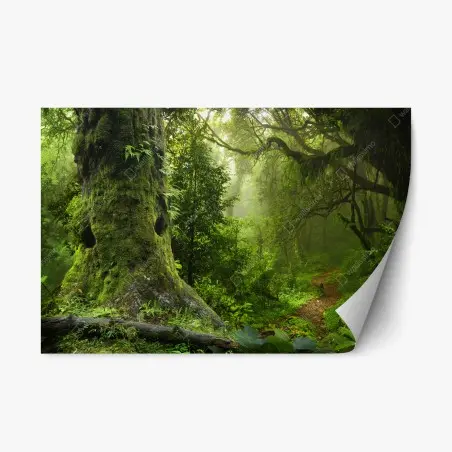 Sticker repositionnable forêt enchantée au lever de brume – Wallnifity®