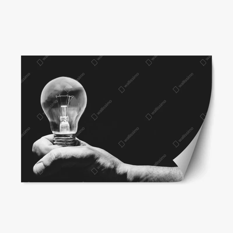 Stickers repositionnables – Wallnifity®