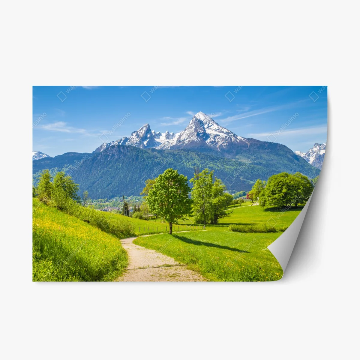 Sticker repositionnable sentier alpin au printemps – Wallnifity® Sticker repositionnable sentier alpin au printemps – Wallnifity®